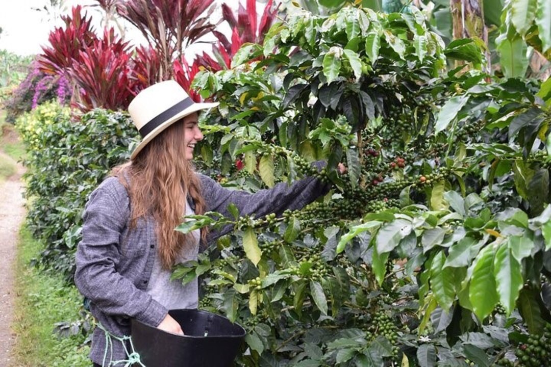 Descubre seis experiencias decembrinas imperdibles en Jardín, el municipio premiado por ONU Turismo como ‘Best Tourism Village’