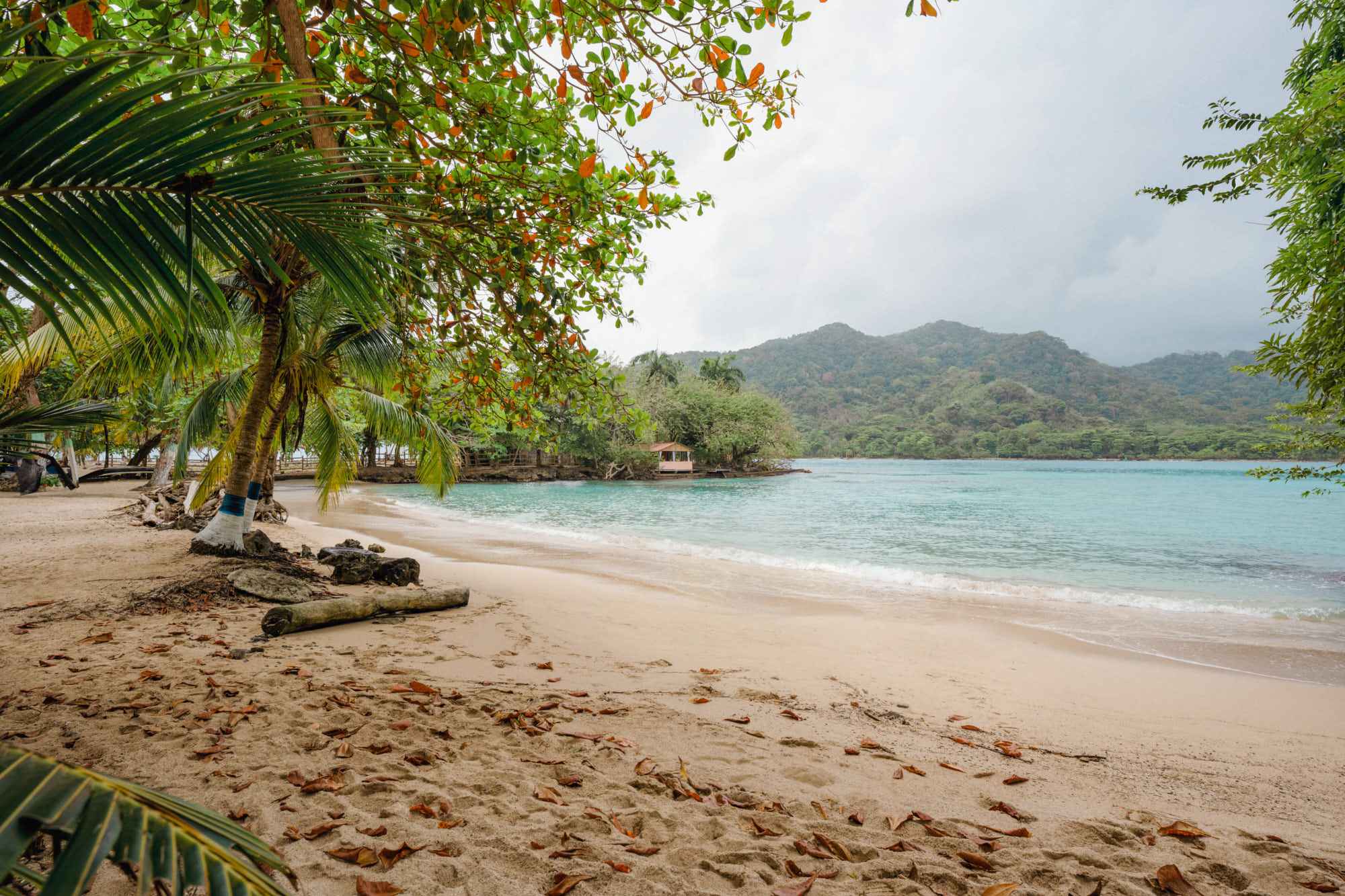 Exploremos la belleza natural del Chocó 