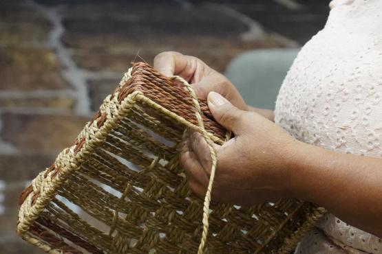 Expo artesanías 2024