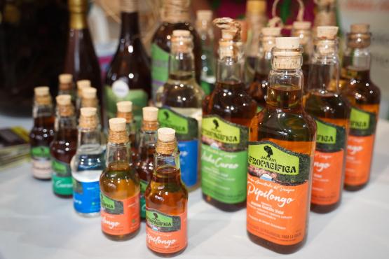 Congreso Gastronómico Deleitarte 2025