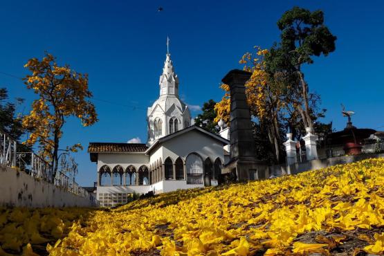 Foto: Alcald&iacute;a de Salamina.  Salamina (Caldas) Pueblo Patrimonio del Paisaje Cultural Cafetero, Patrimonio Mundial Unesco.