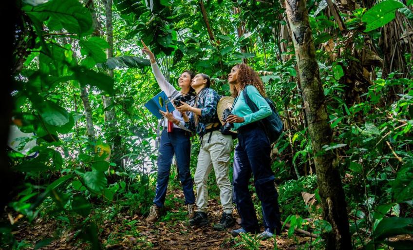 Fontur recaudó más de $72.460 millones de la contribución parafiscal para la Promoción del Turismo, en el primer semestre del año